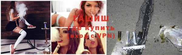 гидра Новозыбков