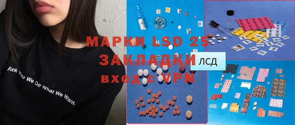 гидра Новозыбков