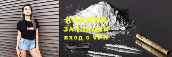 гидра Новозыбков