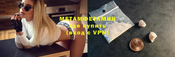 прущие грибы Новодвинск