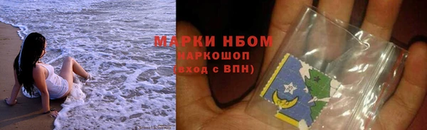 прущие грибы Новодвинск