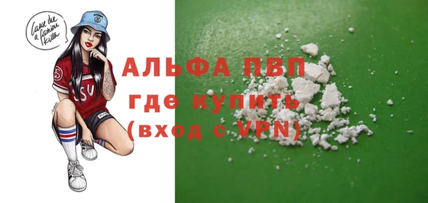 прущие грибы Новодвинск