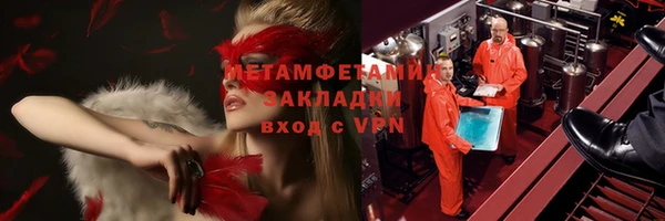 прущие грибы Новодвинск