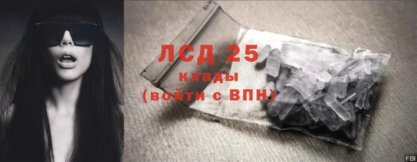 гидра Новозыбков