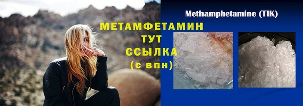 гидра Новозыбков