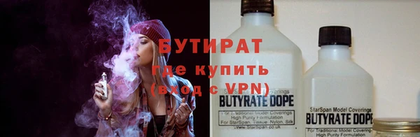 прущие грибы Новодвинск