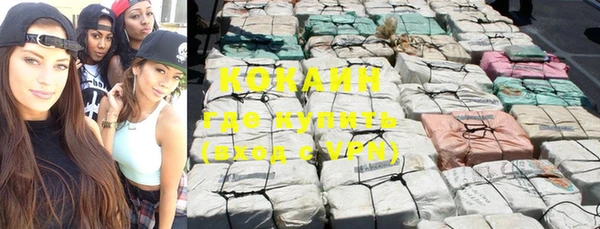 гидра Новозыбков