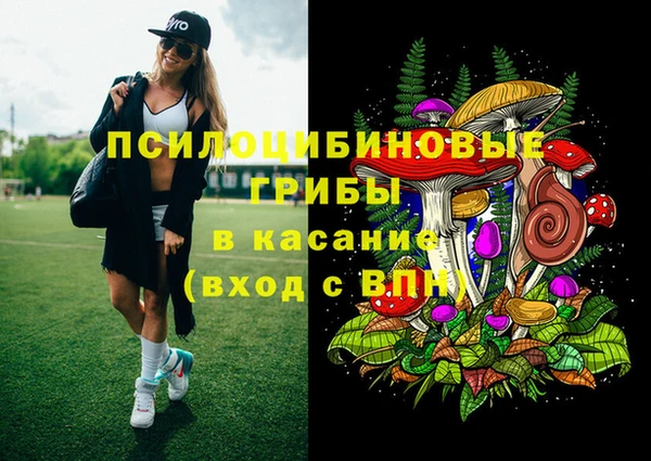 PSILOCYBIN Няндома