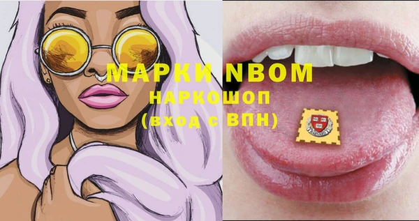 прущие грибы Новодвинск