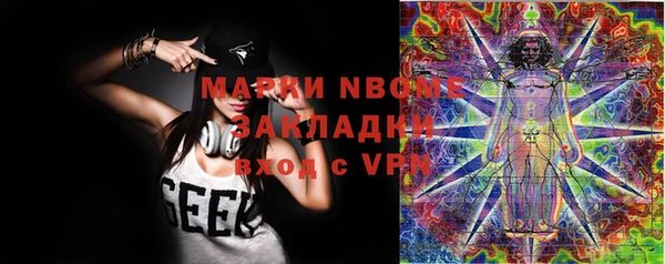 гидра Новозыбков