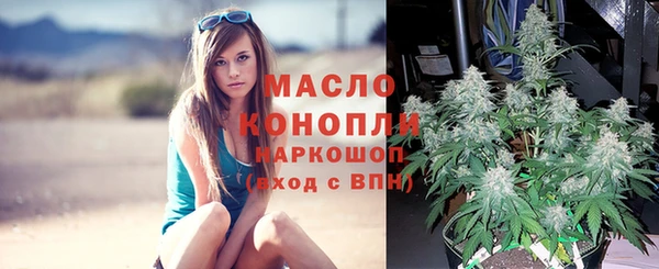 прущие грибы Новодвинск