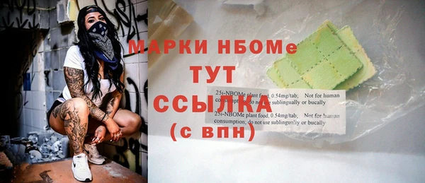 прущие грибы Новодвинск