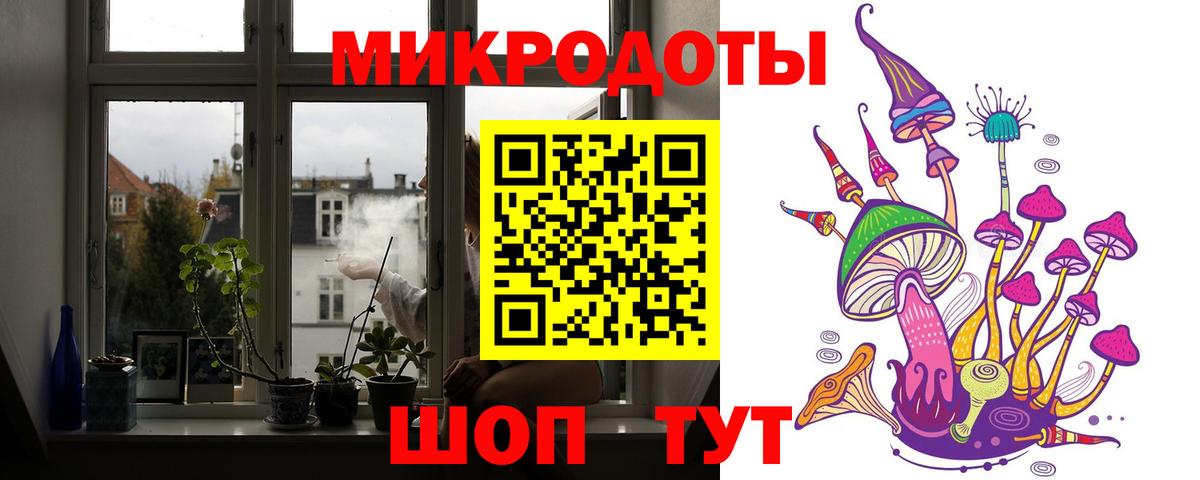 Стрежевой  Галлюциногенные грибы Psilocybine cubensis  Вход с VPN 